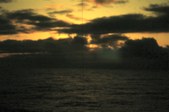 Enlarge photo 45