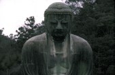 Enlarge photo 48