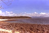 Enlarge photo 39