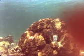 Enlarge photo 45