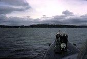 Enlarge photo 52