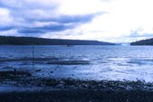 Enlarge photo 55
