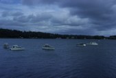 Enlarge photo 59