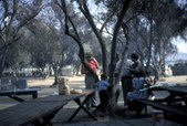 Enlarge photo 36