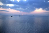 Enlarge photo 71