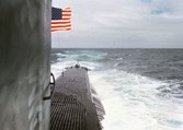 Enlarge photo 40