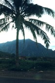 Enlarge photo 51