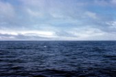 Enlarge photo 37