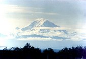 Enlarge photo 48