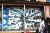 Enlarge photo 42