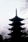 Enlarge photo 64