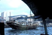 Enlarge photo 35