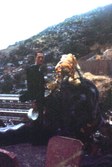 Enlarge photo 11