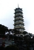 Enlarge photo 45