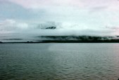 Enlarge photo 65