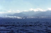 Enlarge photo 69