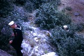 Enlarge photo 71