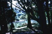Enlarge photo 74