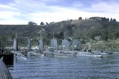 Enlarge photo 80