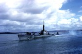 Enlarge photo 34