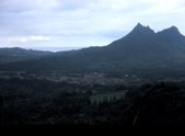 Enlarge photo 41