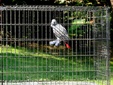 Enlarge photo 36