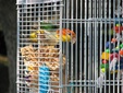 Enlarge photo 37