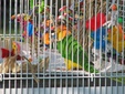 Enlarge photo 38