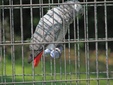 Enlarge photo 39