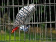Enlarge photo 40
