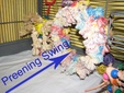 Enlarge photo 46