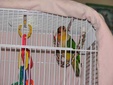Enlarge photo 32