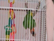 Enlarge photo 33