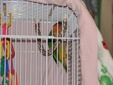 Enlarge photo 34