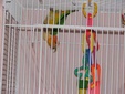 Enlarge photo 35
