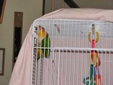 Enlarge photo 36