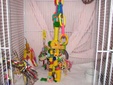 Enlarge photo 28
