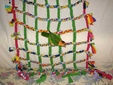 Enlarge photo 26