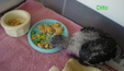 Enlarge photo 31