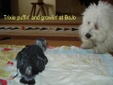 Enlarge photo 51