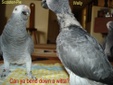 Enlarge photo 53