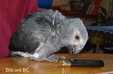 Enlarge photo 54
