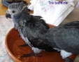 Enlarge photo 56