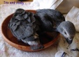 Enlarge photo 57