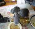 Enlarge photo 58