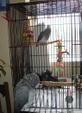 Enlarge photo 59