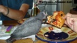 Enlarge photo 62