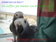 Enlarge photo 85