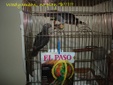 Enlarge photo 86