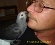 Enlarge photo 96